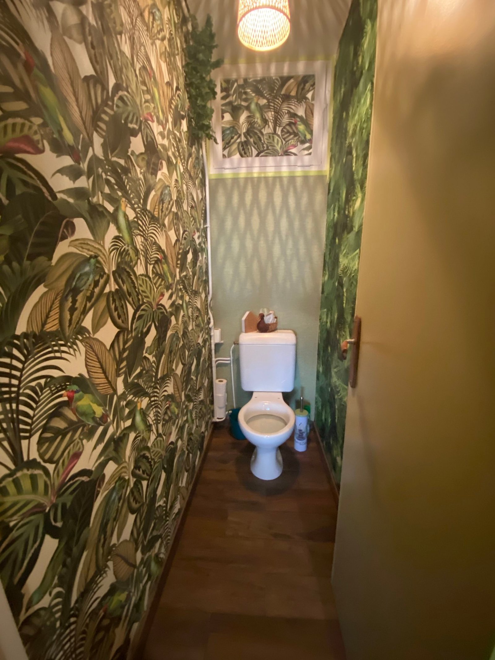 rénovation d'un WC esprit Jungle